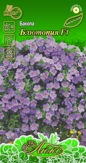 Семена бакопы «Блютопия F1»