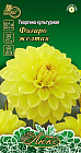 Семена георгины «Фигаро жёлтая» 