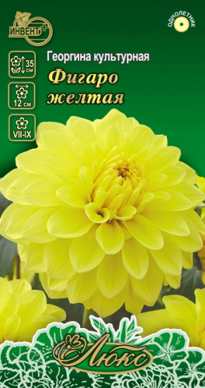 Семена георгины «Фигаро жёлтая» 