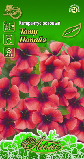 Семена катарантуса розового «Тату Папайя»