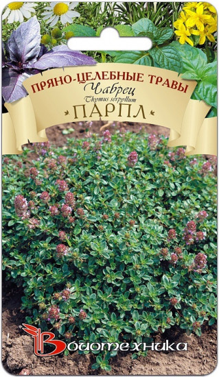 Семена чабреца «Парпл»