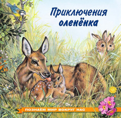 Приключения олененка