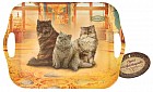 Поднос  «Персидская кошка»
