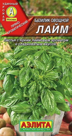 Семена базилика овощного «Лайм»