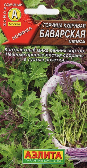 Семена горчицы кудрявой, смесь «Баварская»