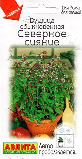 Семена душицы обыкновенной «Северное сияние»