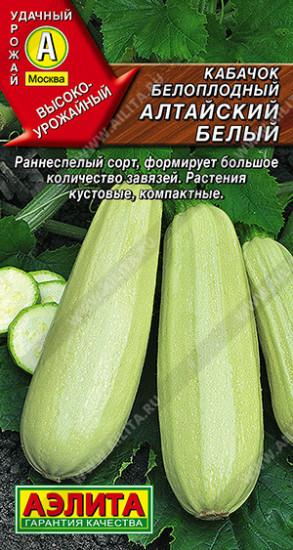 Семена кабачков белоплодных «Алтайский белый»