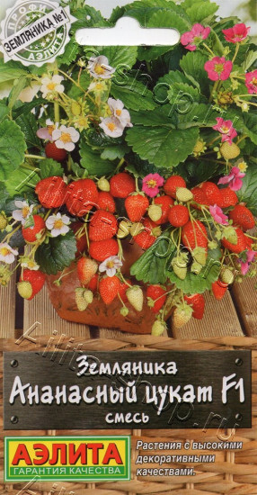 Семена земляники, смесь «Ананасный цукат F1»