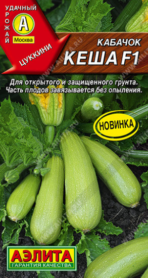 Семена кабачков цуккини «Кеша F1»