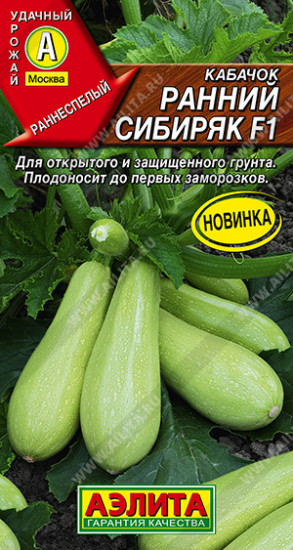 Семена кабачков цуккини «Ранний сибиряк F1»