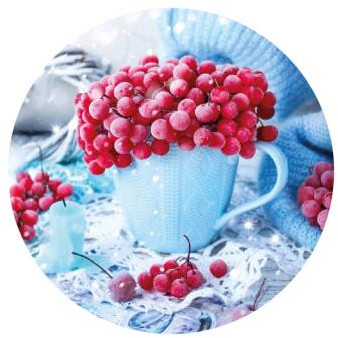 Игольница магнитная «Зимний букет»