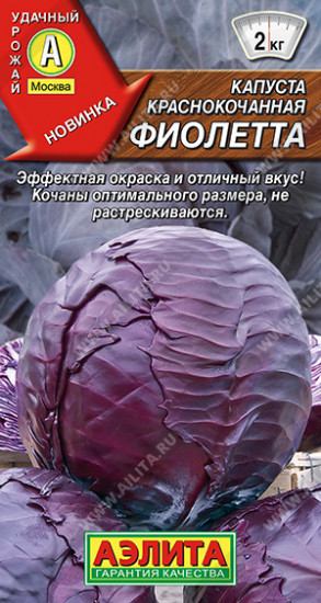 Семена капусты краснокочанной «Фиолетта»