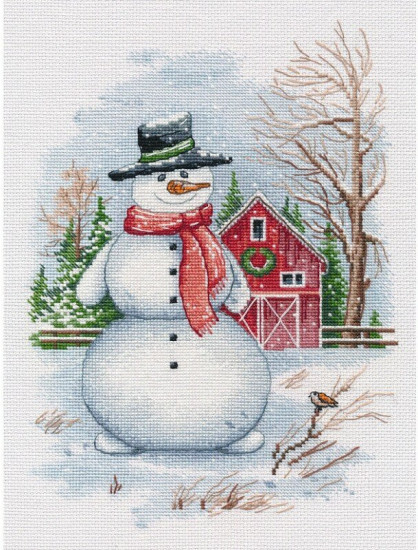 Набор для вышивания «Мистер С»