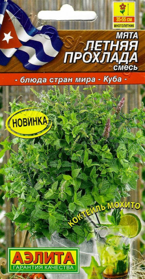 Семена мяты, смесь «Летняя прохлада»