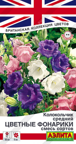Семена колокольчика «Цветные фонарики, смесь сортов»