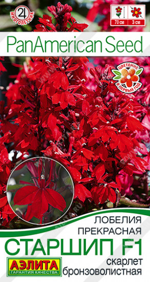 Семена лобелии «Старшип F1 скарлет бронзоволистная»