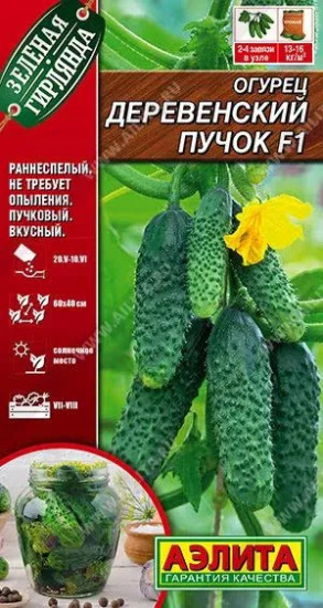 Огурец «Деревенский Пучок F1»