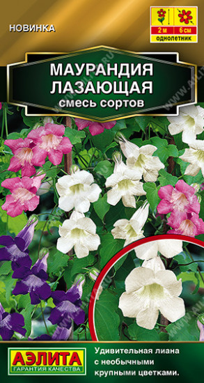 Семена маурандии лазающей, смесь