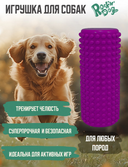 Игрушка для собак «Угарная прогулка»