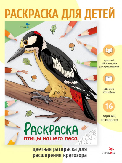 Раскраска «Птицы нашего леса»