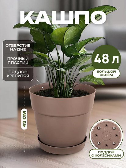 Кашпо для цветов