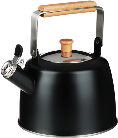 Чайник «Нера»