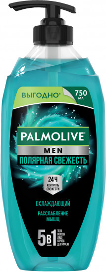 Гель для душа мужской 5 в 1 «Полярная свежесть»