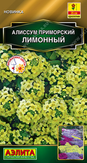 Семена алиссума приморского «Лимонный»