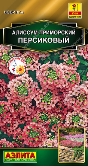 Семена алиссума приморского «Персиковый»
