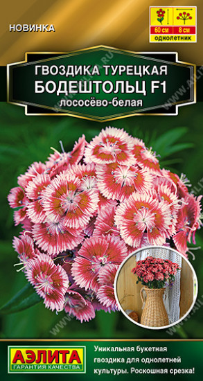 Семена гвоздики турецкой «Бодештольц F1 лососёво-белая»