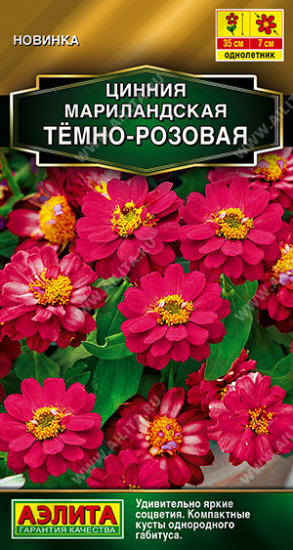 Семена циннии мариландской «Тёмно-розовая»