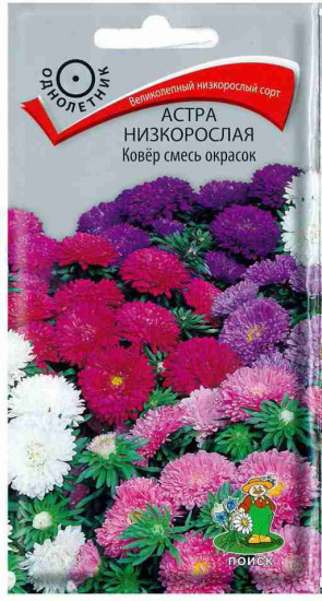 Семана астры низкорослой «Ковёр смесь окрасок»