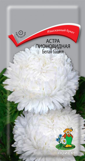 Семена астры пионовидной «Белая башня»