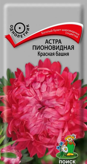 Астра «Красная башня»