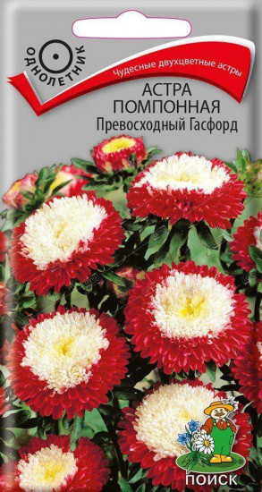 Семена астры помпонной «Превосходный Гасфорд»