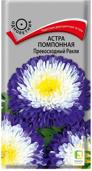Семена астры помпонной «Превосходный ракли»