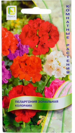 Семена пеларгонии «Колорама зональная»