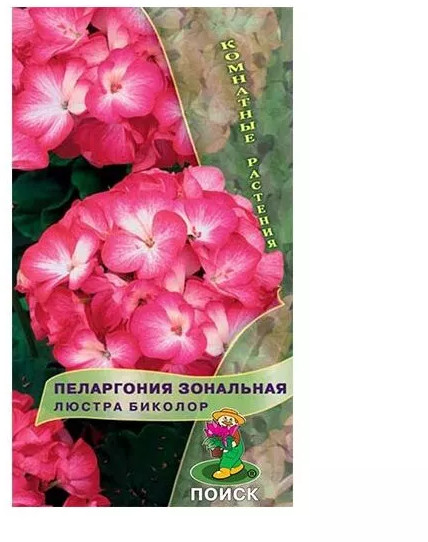 Семена пеларгонии «Люстра биколор»