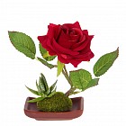 Композиция «Фантазия», цвет в ассортименте