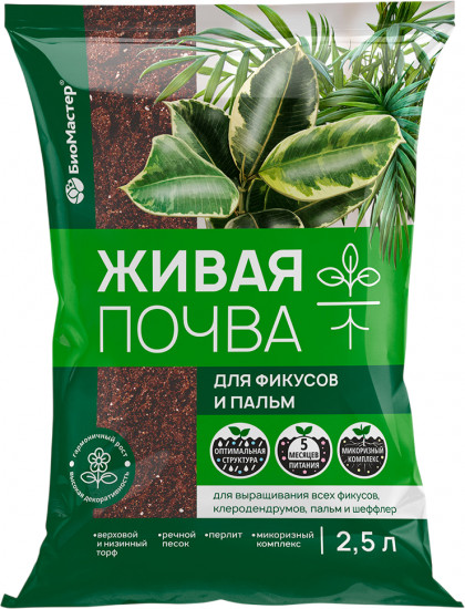 Почвогрунт для фикусов и пальм