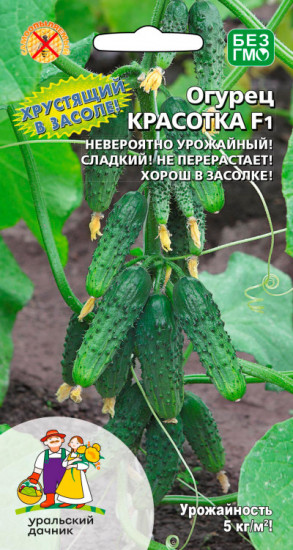 Семена огурца «Красотка F1»