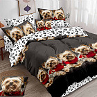 1.5-спальное