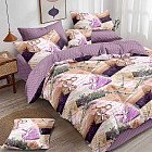 семейное дуэт