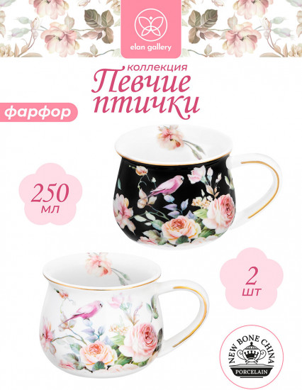 Набор кружек «Певчие птички»