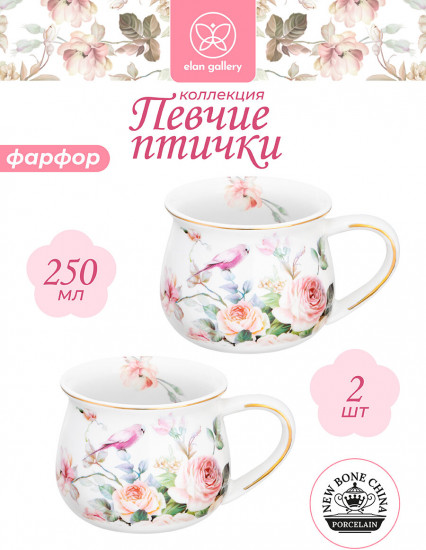 Набор кружек «Певчие птички»