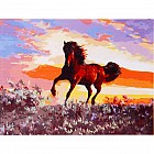 Роспись по холсту «Конь» по номерам (40×30 см)