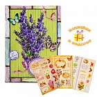 Фотоальбом 36 фото «Мой сад»