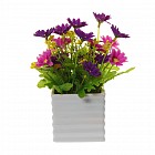 Композиция в рифлёном горшке «Садовые ромашки», в ассортименте