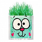 Растущая трава «Зайка», трава