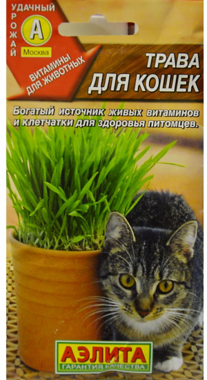 Трава для кошек